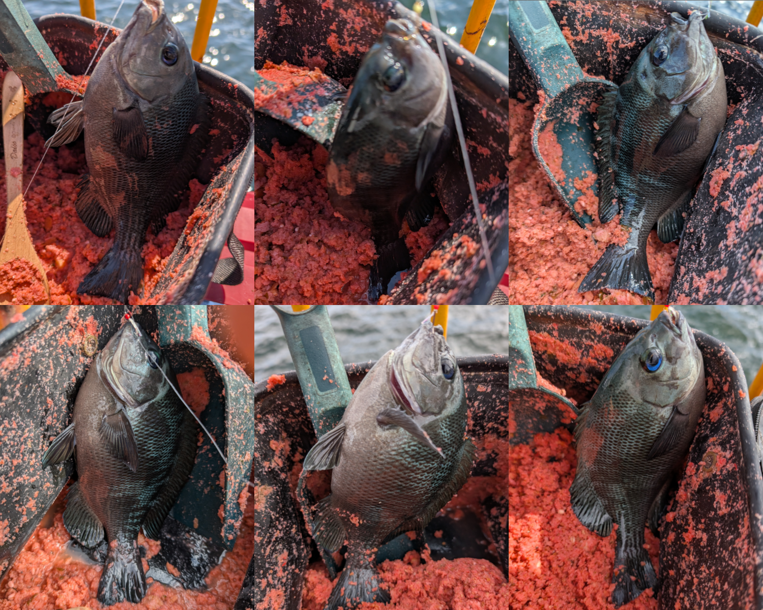 ２０２５年１０月５日－１