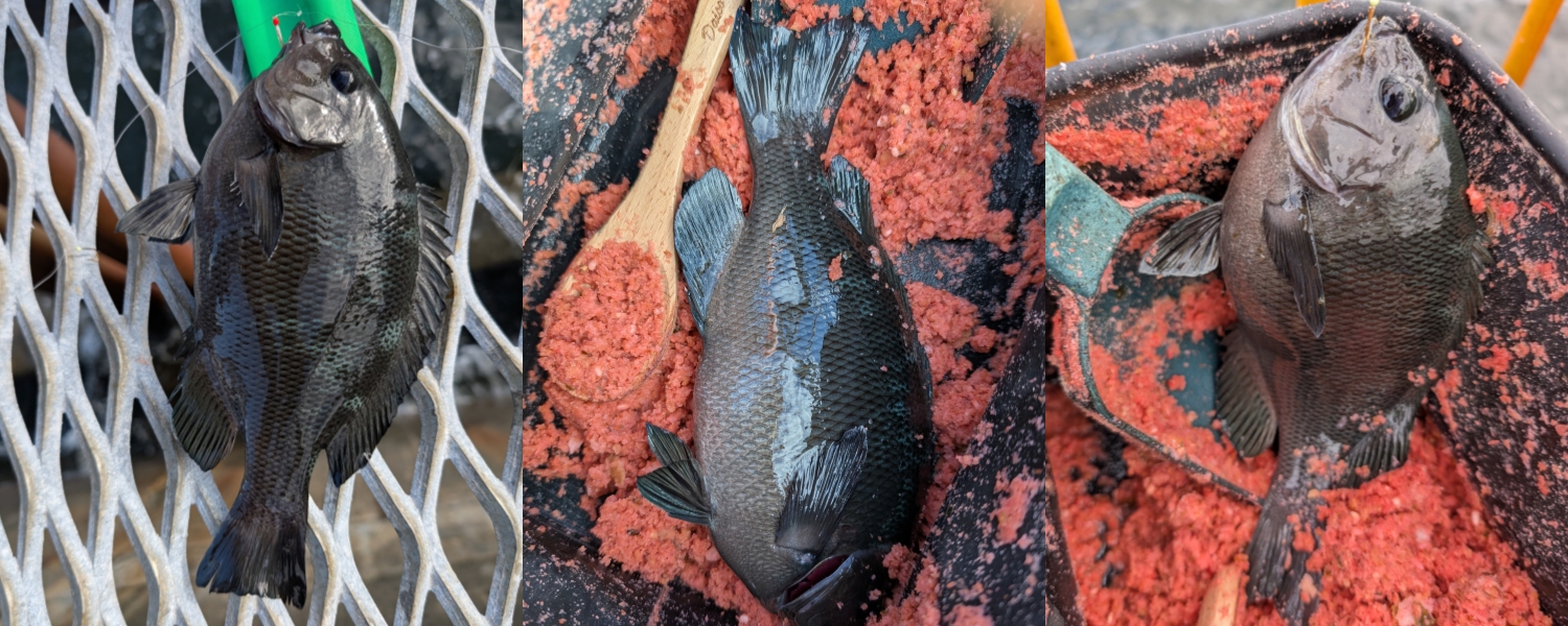 ２０２５年１０月５日－２