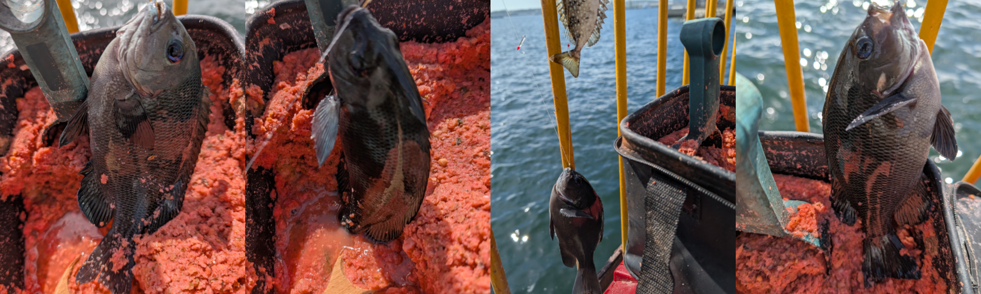 ２０２５年１０月８日－１