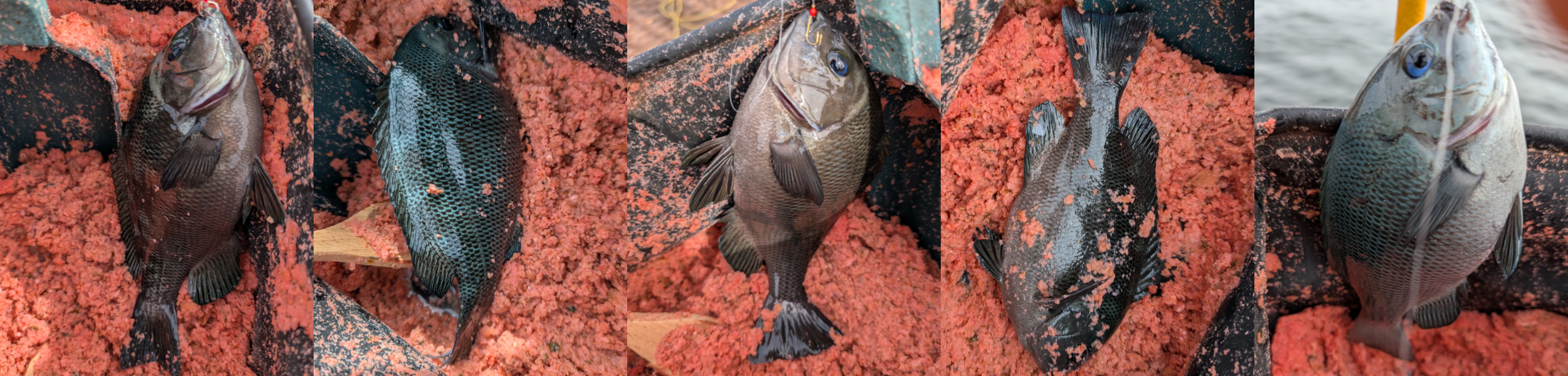 ２０２５年１０月８日－２