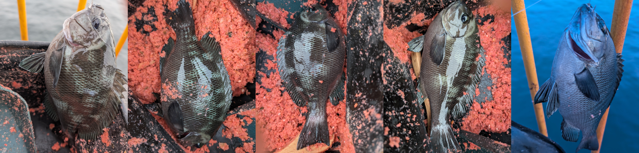 ２０２５年１０月８日－３