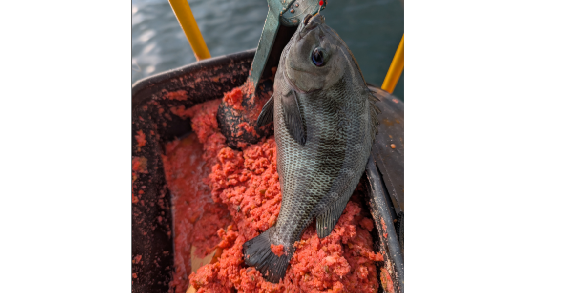 ２０２５年１０月１２日－１