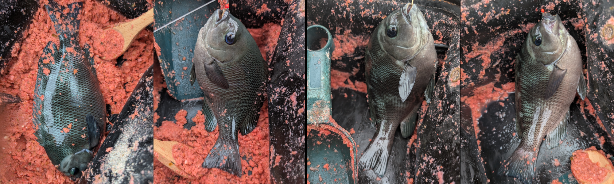 ２０２５年１０月１２日－３