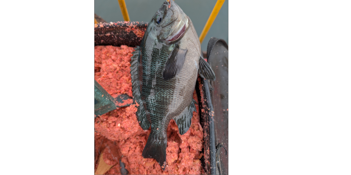 ２０２５年１０月２０日－１