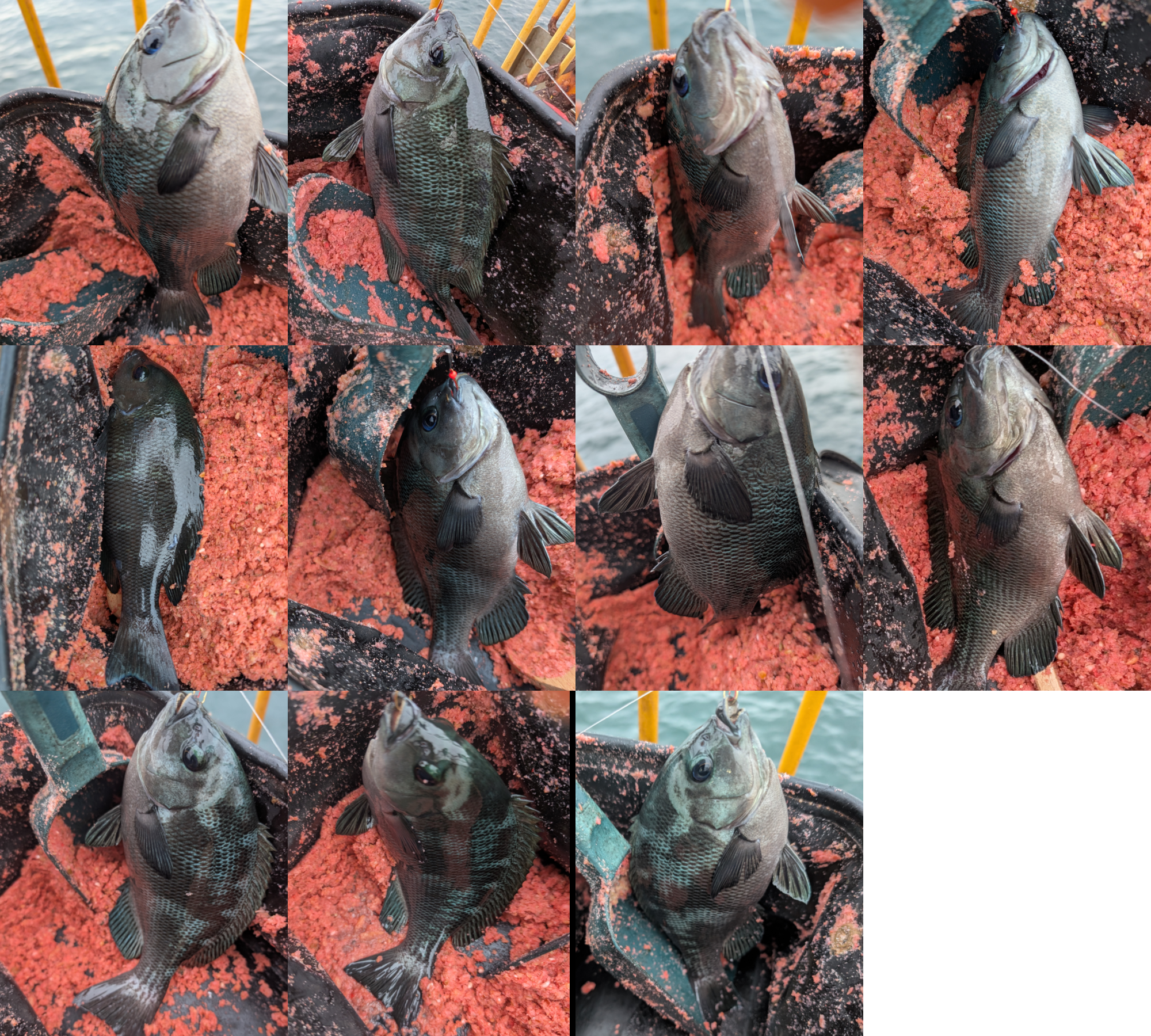 ２０２５年１０月２０日－２