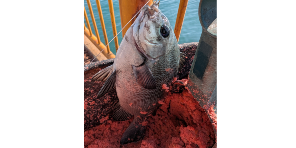 ２０２５年１０月３０日－１