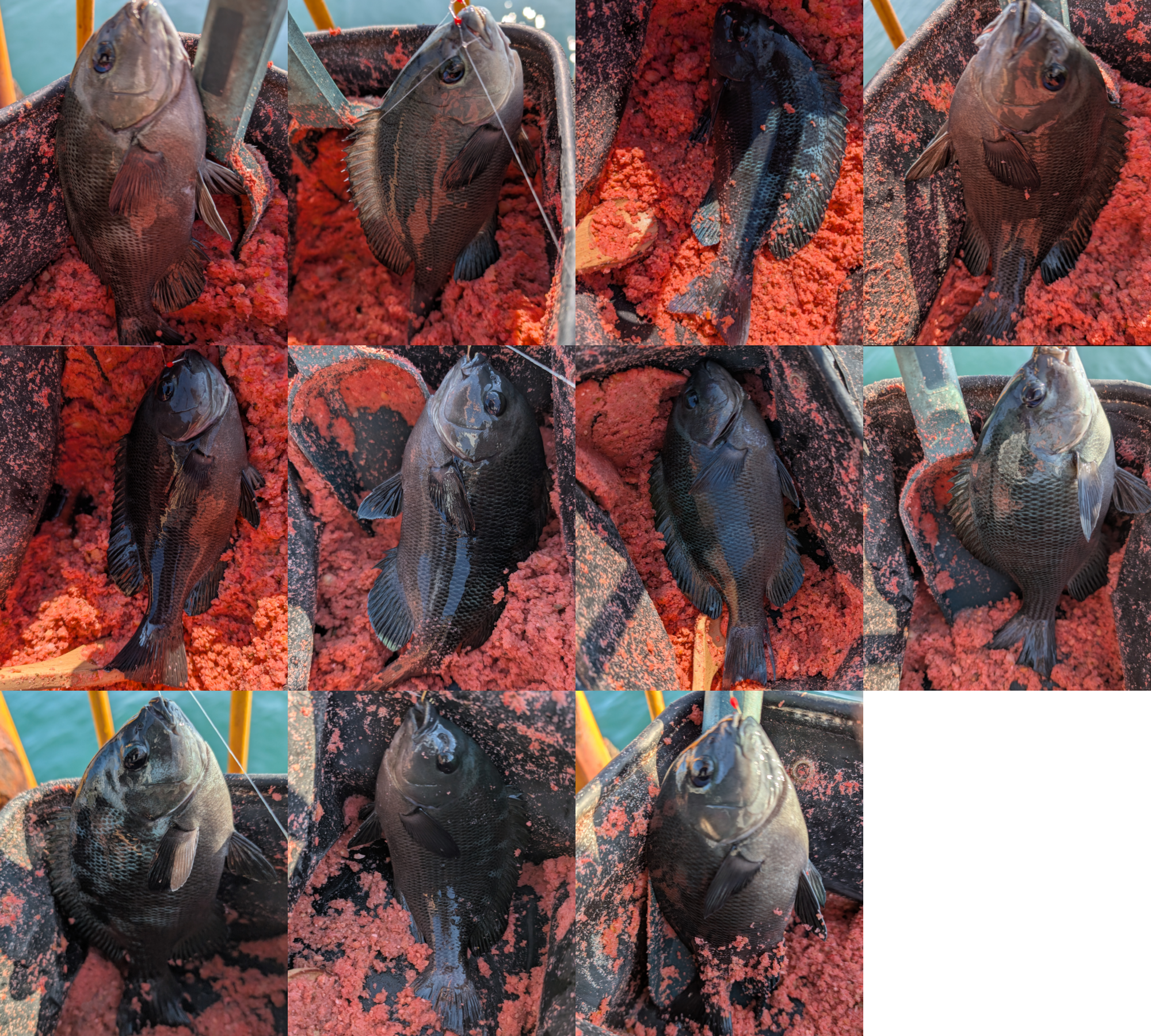 ２０２５年１０月３０日－２