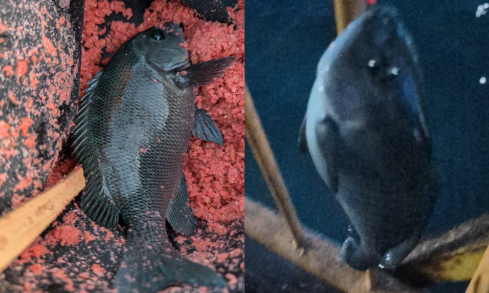 ２０２５年１０月３０日－３