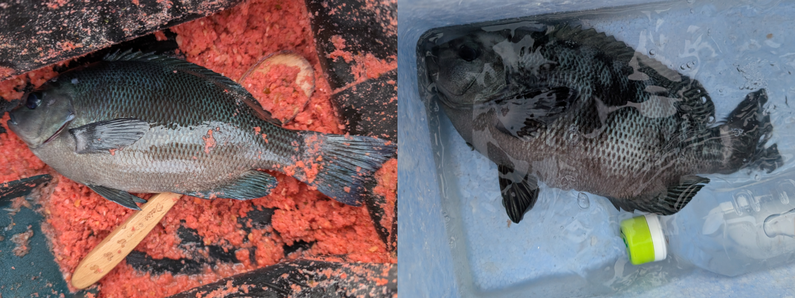 ２０２５年１１月２日－２