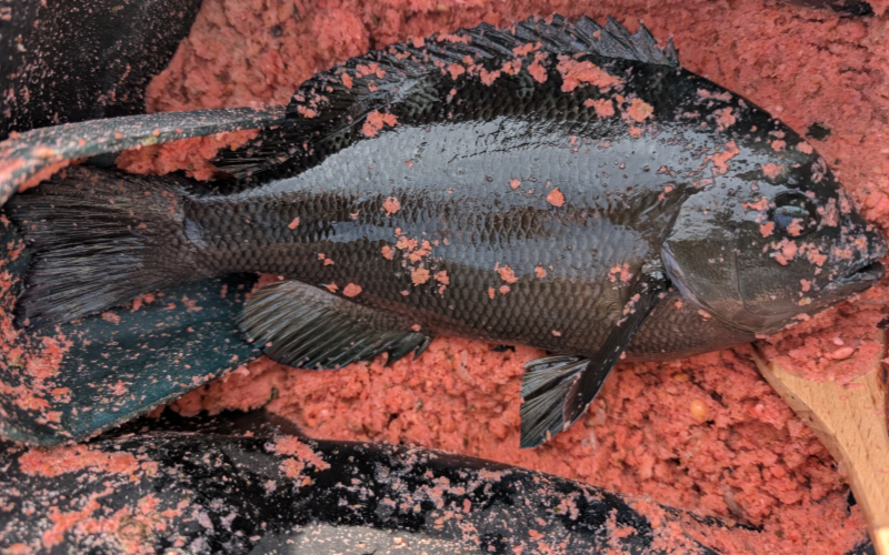 ２０２５年１１月２３日－１