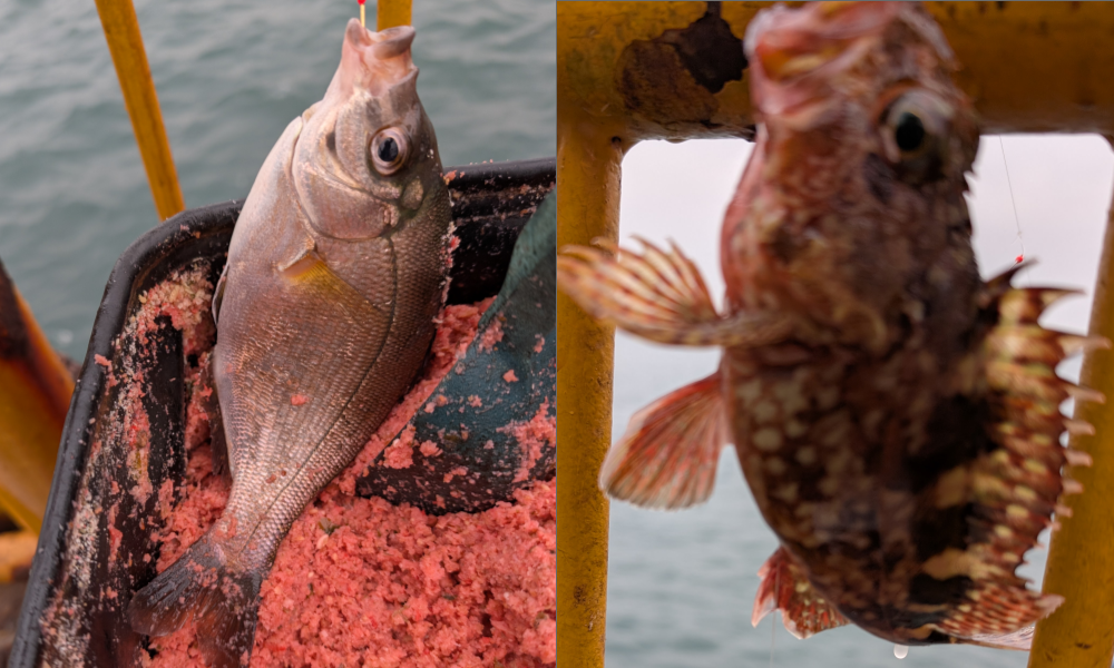 ２０２５年１２月３日－１