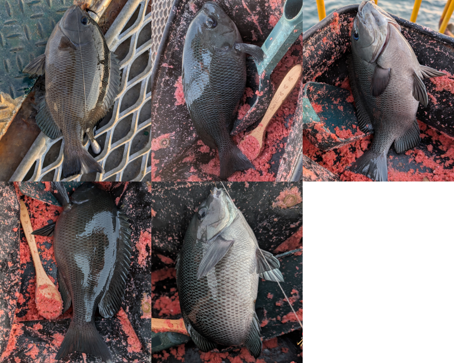 ２０２５年１２月３日－４