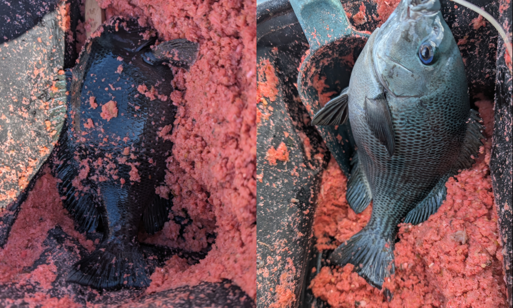 ２０２５年１２月５日－１