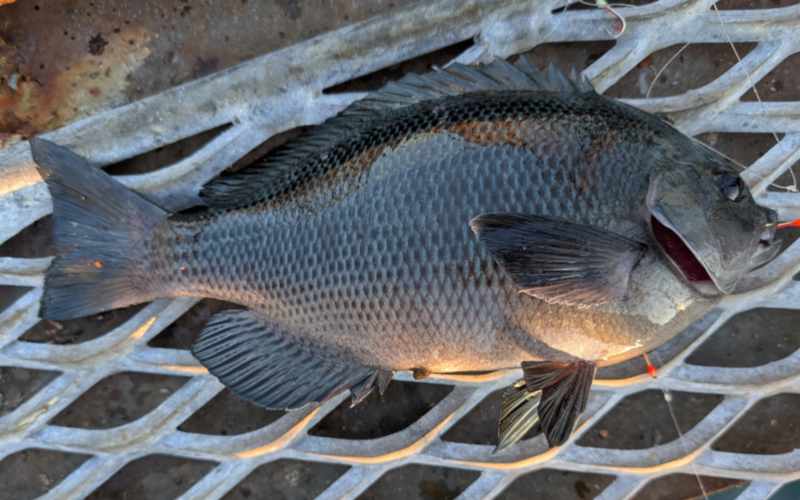 ２０２５年１２月５日－２